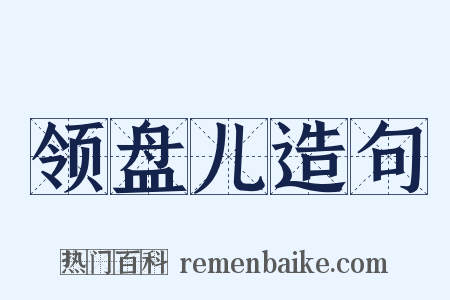领盘儿造句是什么意思的图片